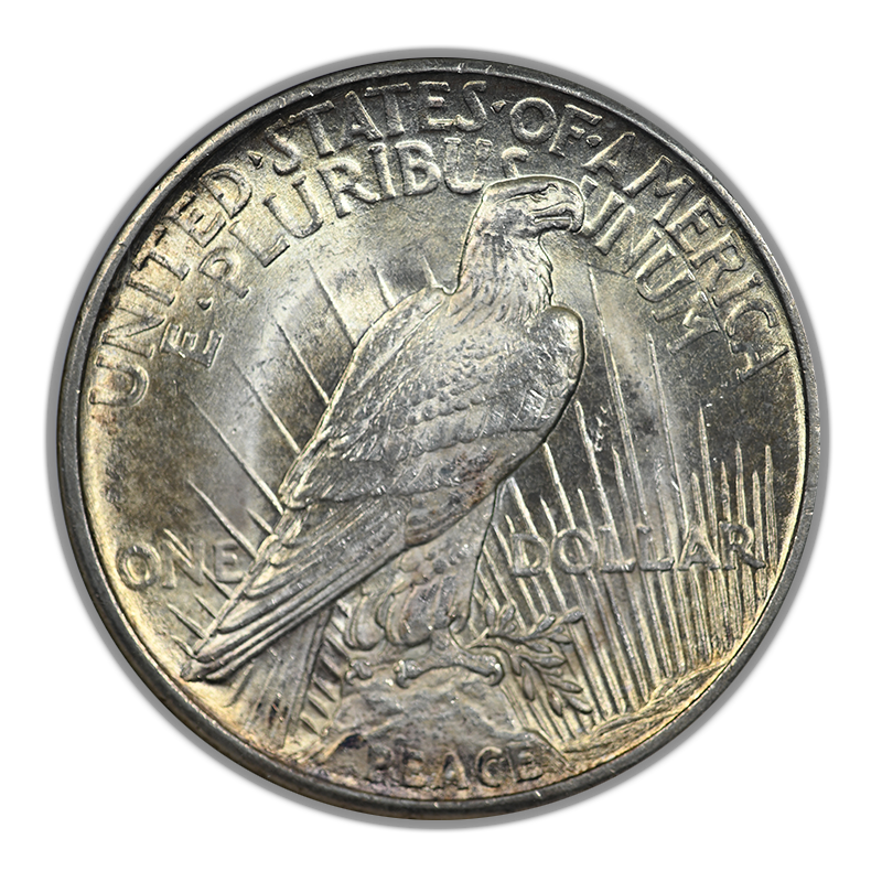 1921 Peace Dollar $1 ANACS MS63