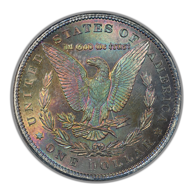 1884 Morgan Dollar $1 NGC Fatty MS65 CAC - REVERSE TONED!