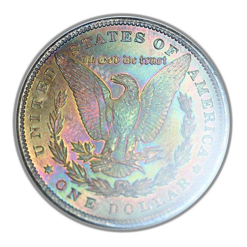 1884 Morgan Dollar $1 NGC Fatty MS65 CAC - REVERSE TONED!