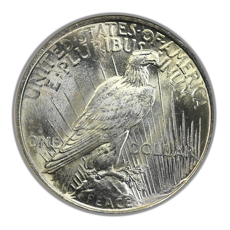 1924 Peace Dollar $1 NGC MS65
