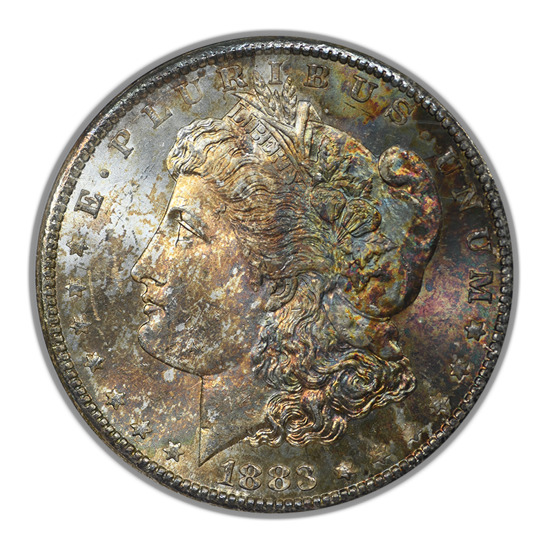 1883-CC Morgan Dollar $1 NGC Fatty MS64 CAC - TONED!