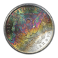 1879-S Morgan Dollar $1 PCGS MS63 - TONED! Reverse