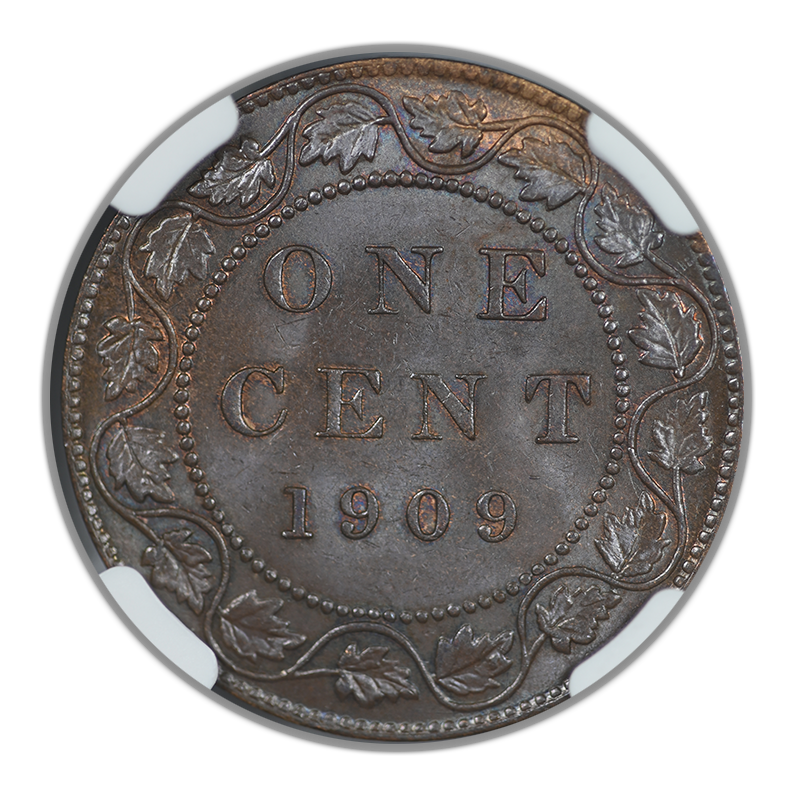 1909 Canada 1C Cent NGC MS64BN
