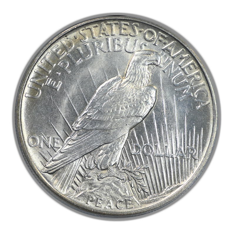 1921 Peace Dollar $1 PCGS MS63