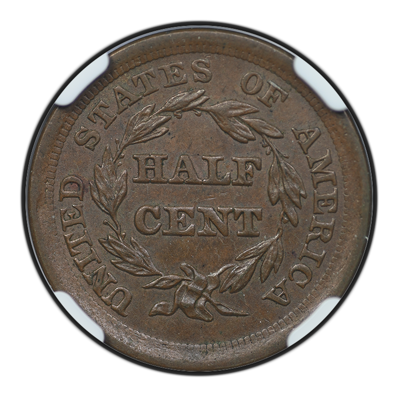 1855 Braided Hair Half Cent 1/2C NGC MS62BN C-1 Reverse