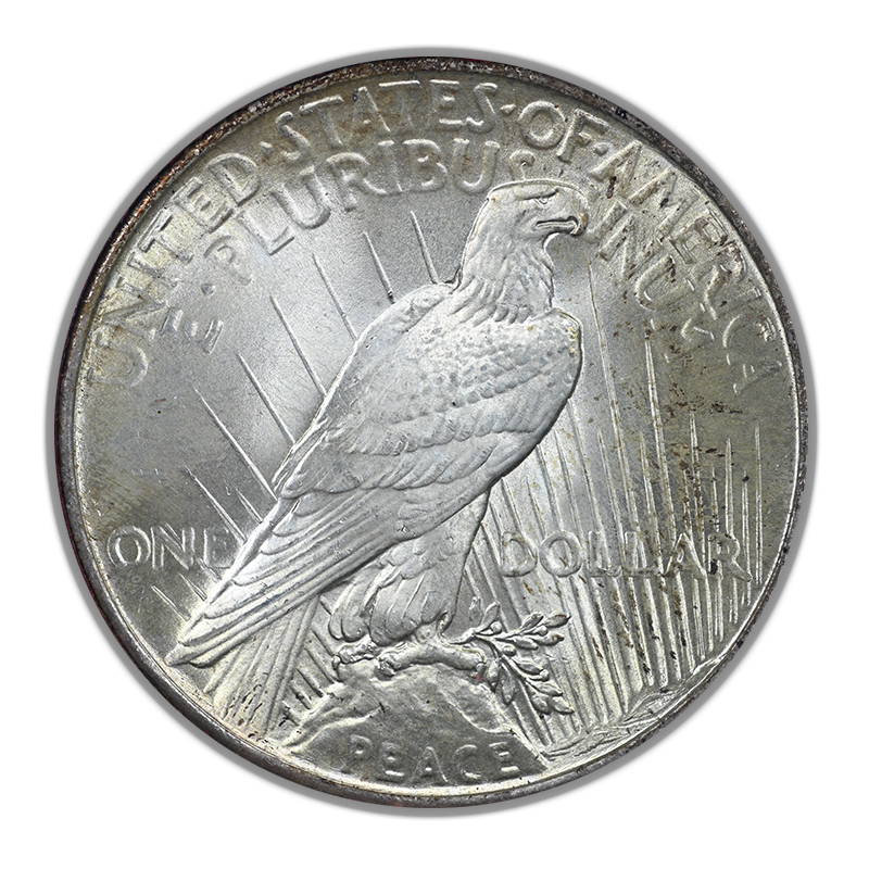 1925 Peace Dollar $1 Paramount NGC MS65