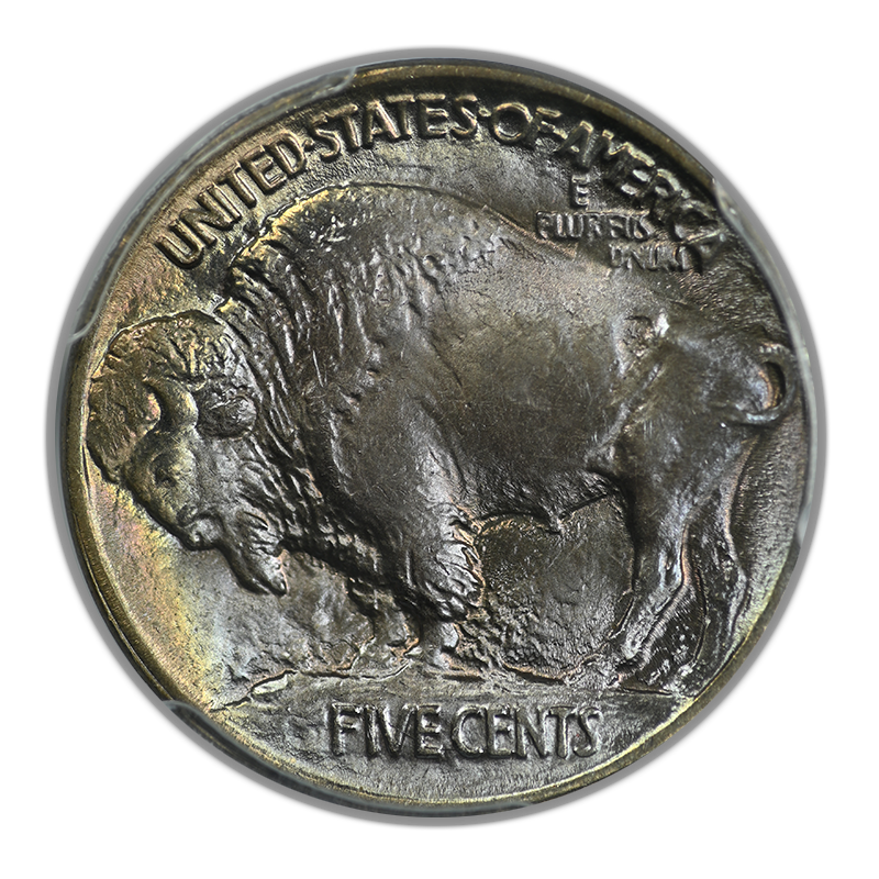1913 Type 1 Buffalo Nickel 5C PCGS MS67+ CAC - TONED! Reverse