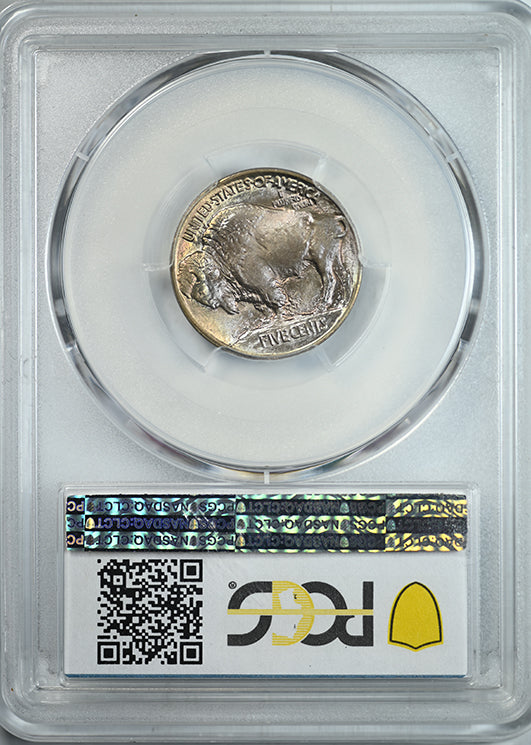 1913 Type 1 Buffalo Nickel 5C PCGS MS67+ CAC - TONED! Reverse Slab