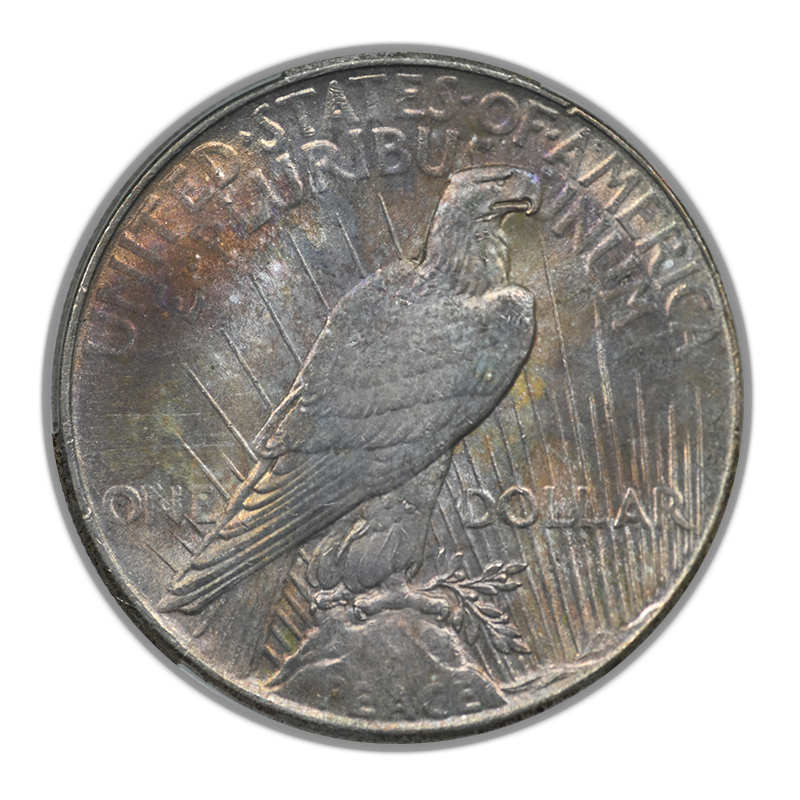 1925 Peace Dollar $1 CAC MS62 - TONED!