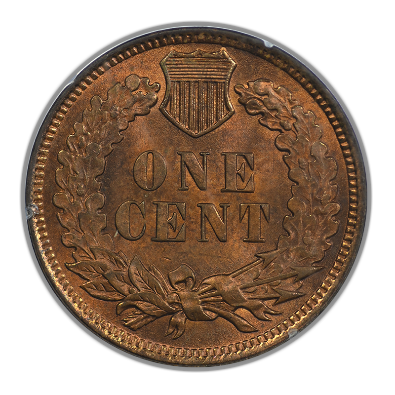 1905 Indian Head Cent 1C PCGS Rattler MS65RB Reverse