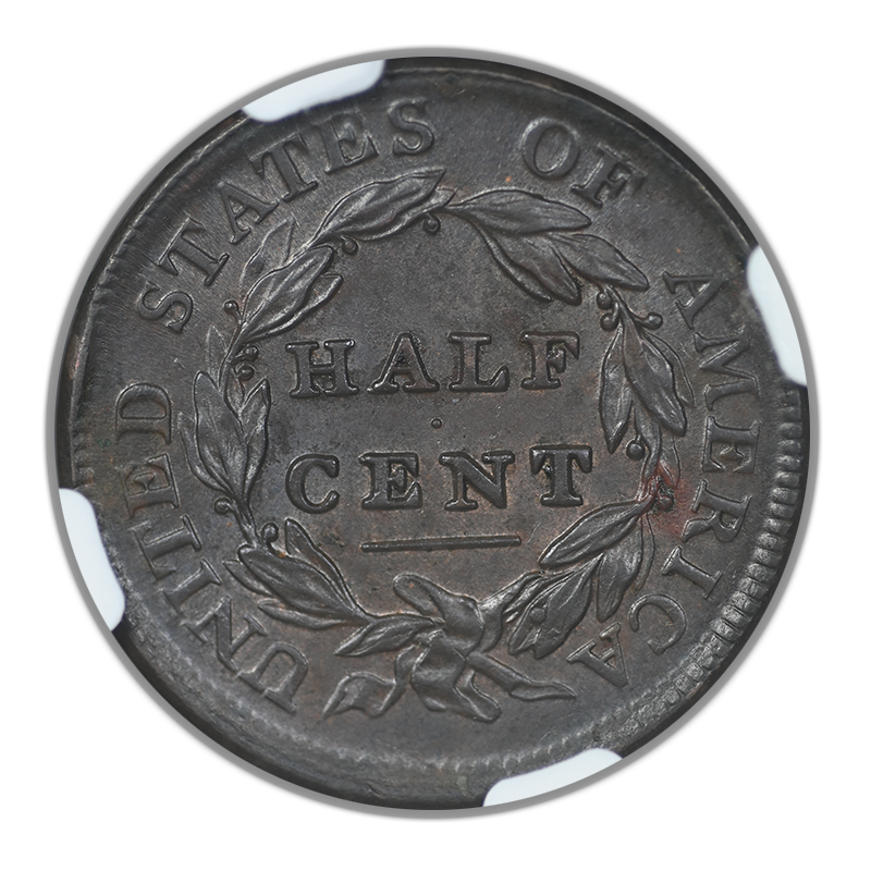 1809 Classic Head Half Cent 1/2C NGC MS64BN