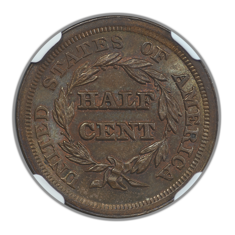 1853 Braided Hair Half Cent 1/2C NGC MS64BN C-1 Reverse