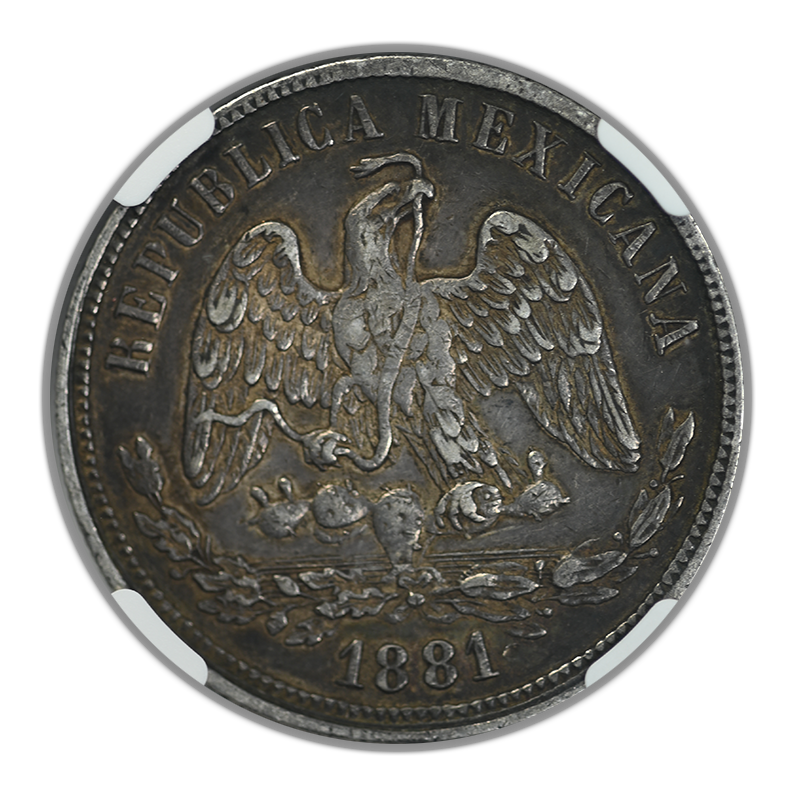 1881HO A Mexico Centavos 50C NGC XF40 Reverse