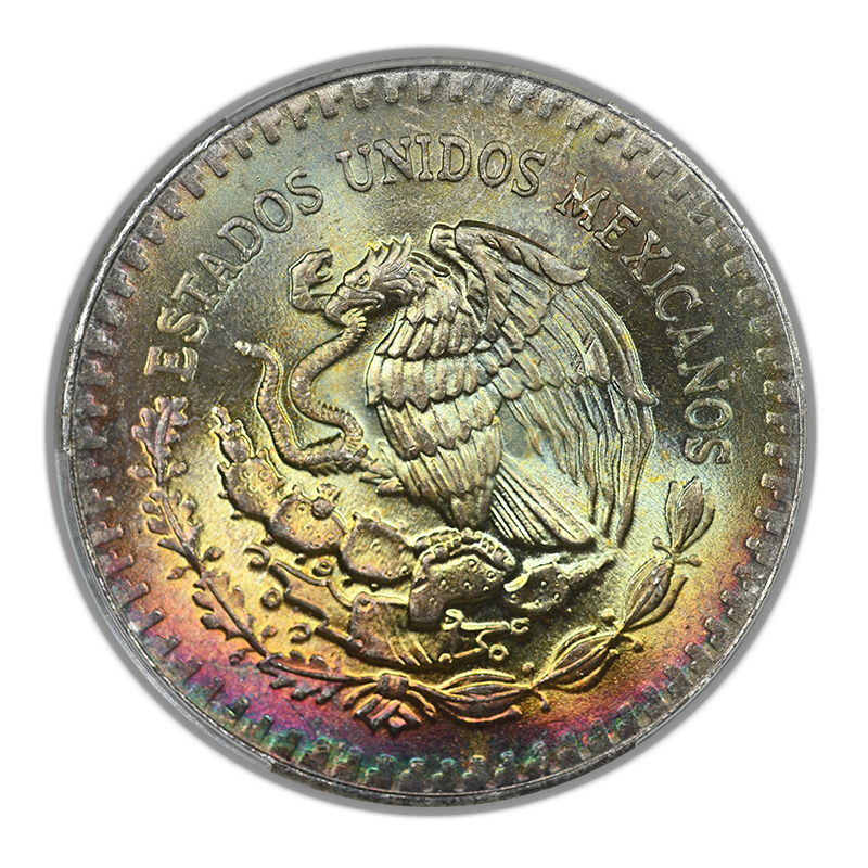 1984-Mo Mexico Silver Libertad 1 Onza CAC MS67 - RAINBOW TONED!