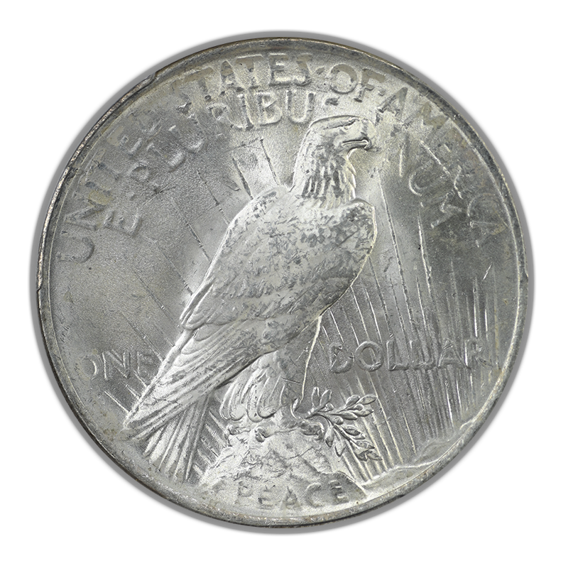 1923 Peace Dollar $1 PCGS MS64+