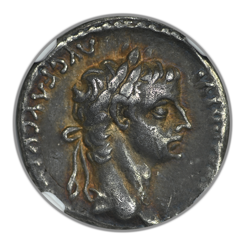 AD 14-37 Roman Empire Tiberius AR Denarius Lugdunum NGC Ancients VF - TONED!