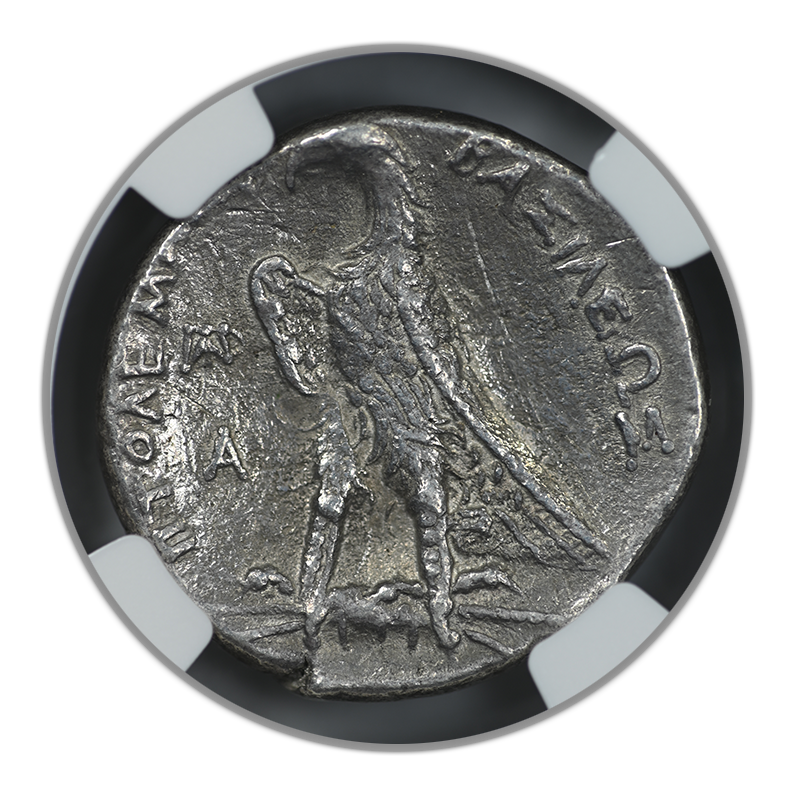 285/4-246 BC Ptolemaic Kingdom Ptolemy II AR Tetradrachm Eagle NGC Ancients Choice VF