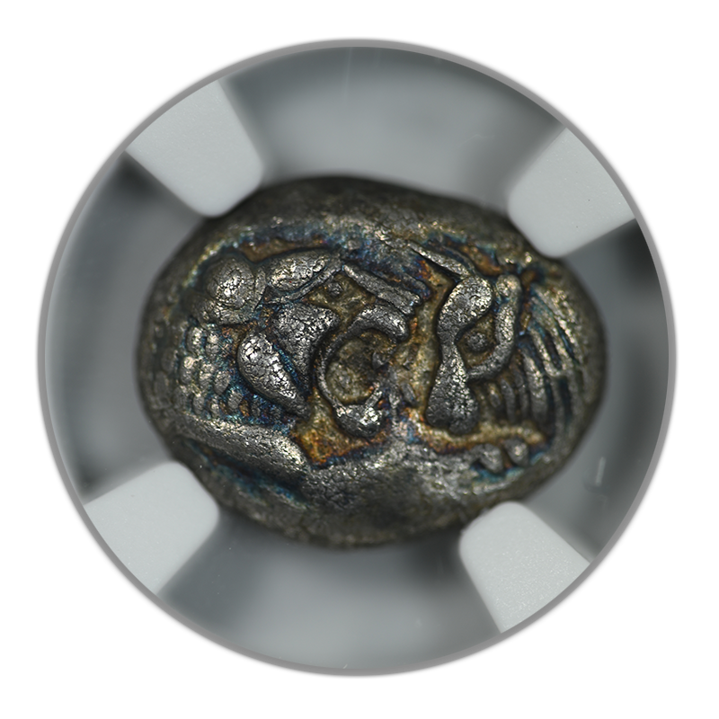 561-546 BC Lydia Croesus AR Half-Stater/Siglos Lion Confronting Bull NGC Ancients XF - TONED!