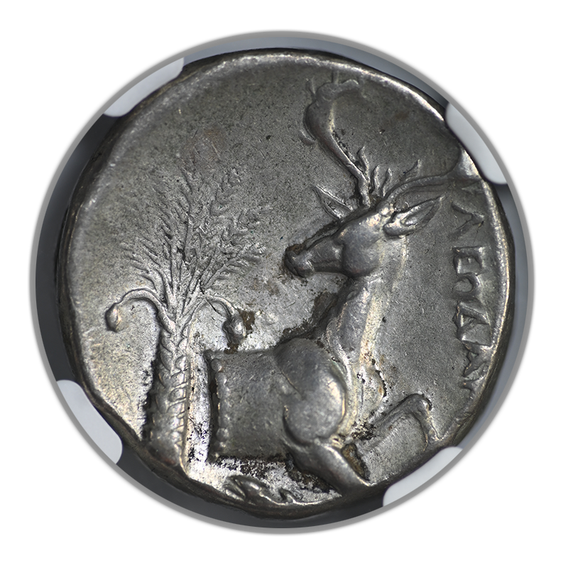 c.4th Century BC Ionia, Ephesus AR Tetradrachm Bee & Stag NGC Ancients Choice VF