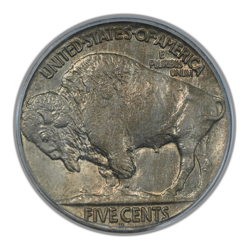 1913-D Type 2 Buffalo Nickel 5C PCGS MS63 OGH