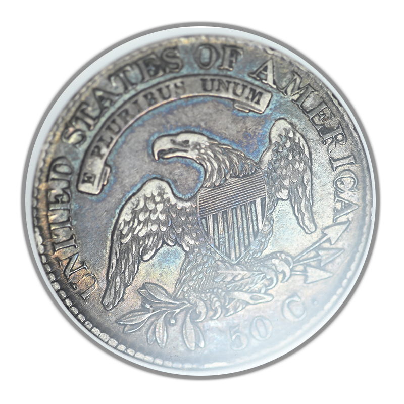 1826 Capped Bust Half Dollar 50C ANACS Soapbox XF40 - REVERSE TONED!