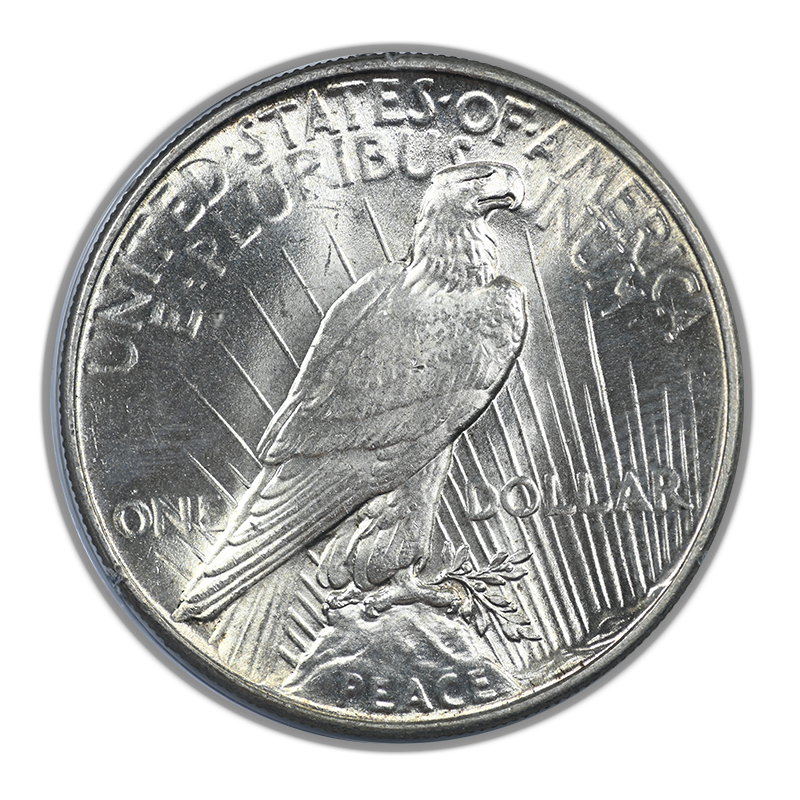 1934 Peace Dollar $1 PCGS Rattler MS63 CAC