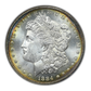 1884 Morgan Dollar $1 NGC Fatty MS65 CAC - REVERSE TONED!