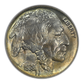 1938-D Buffalo Nickel 5C NGC Fatty MS66 CAC