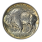 1938-D Buffalo Nickel 5C NGC Fatty MS66 CAC