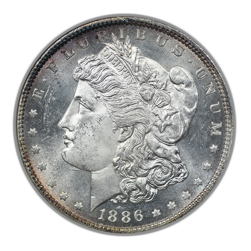 1886 Morgan Dollar $1 NGC Fatty MS63PL - Prooflike