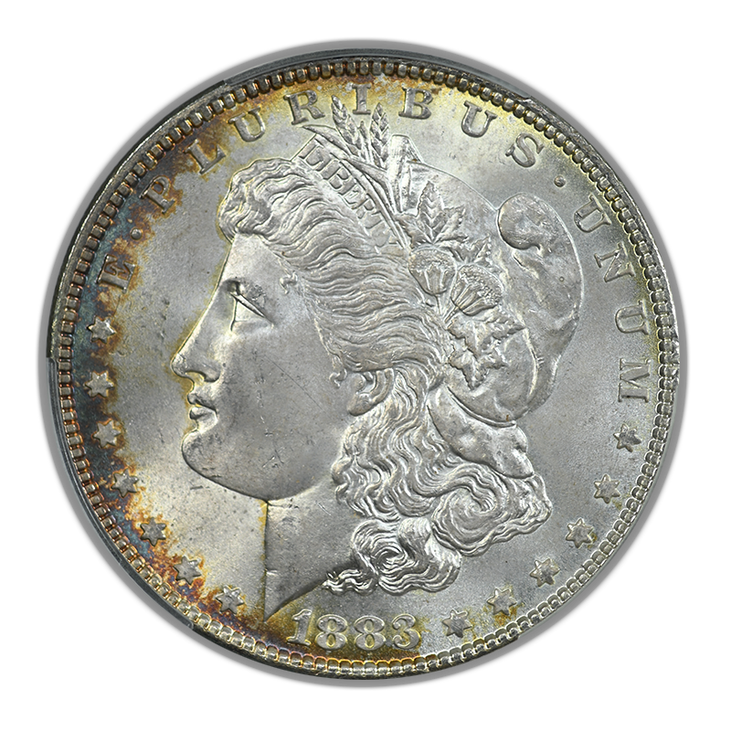 1883 Morgan Dollar $1 CAC MS65 - WitterBrick Silver Label