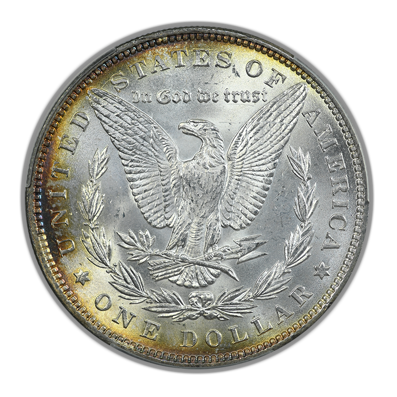 1883 Morgan Dollar $1 CAC MS65 - WitterBrick Silver Label