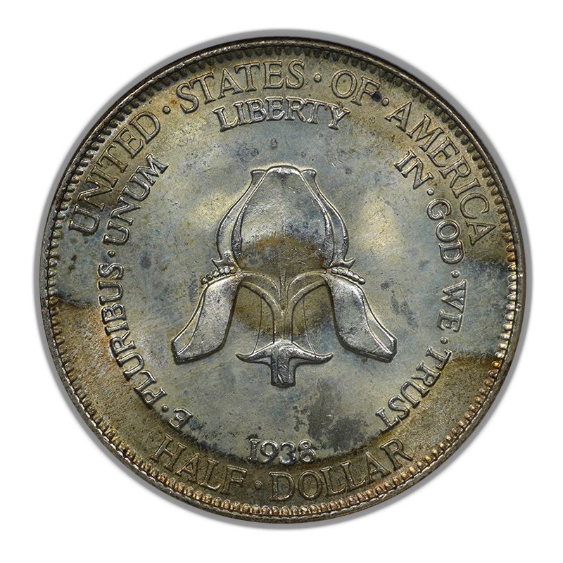 1938 New Rochelle Classic Commemorative Half Dollar 50C NGC Fatty MS66 CAC - TAB TONED!
