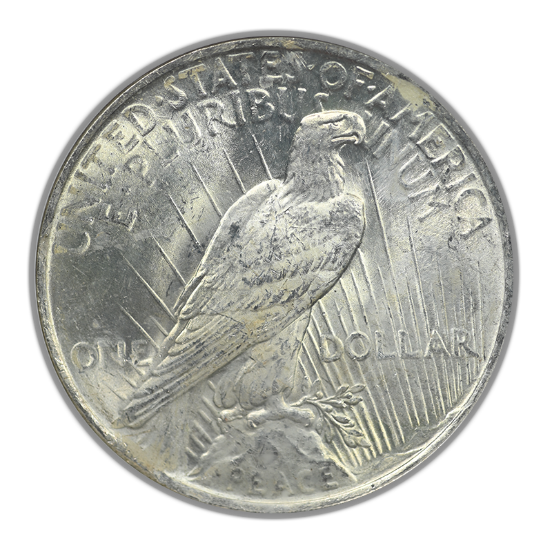 1923 Peace Dollar $1 NGC Mint Error MS63 Curved Clip @ 11:00