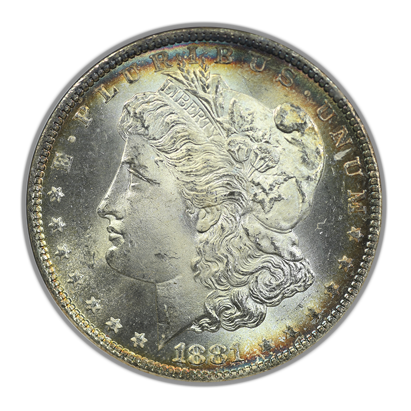 1881-O Morgan Dollar $1 NGC Fatty MS65 - TONED!