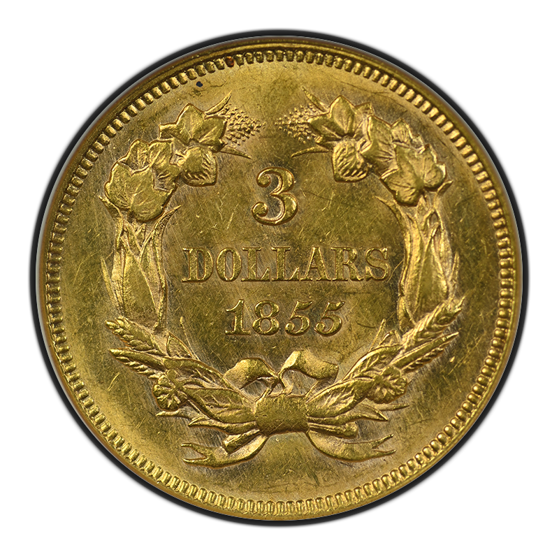 1855 Indian Princess Gold Three Dollar 3 NGC Fatty Holder MS60