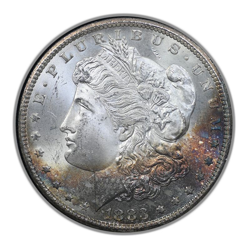 1883-CC Morgan Dollar $1 GSA Hoard NGC MS65 - TEXTILE TONED!