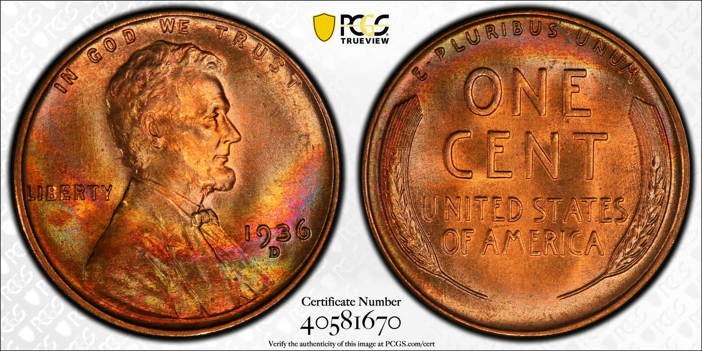 1936-D Lincoln Wheat Cent 1C PCGS MS67RB CAC - RAINBOW TONED! Trueview