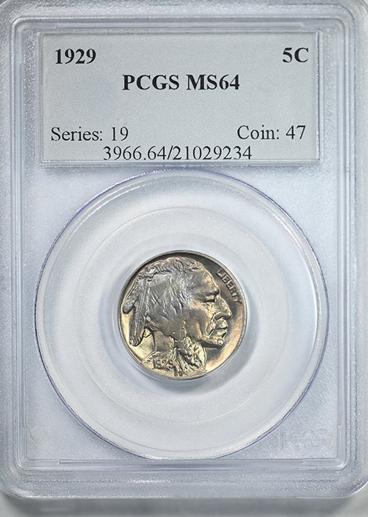 1929 Buffalo Nickel 5C PCGS MS64