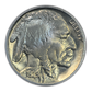 1929 Buffalo Nickel 5C PCGS MS64