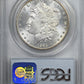 1884-CC Morgan Dollar GSA $1 PCGS MS64 CAC - TONED!