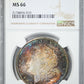 1884-CC Morgan Dollar $1 NGC MS66 - TONED!