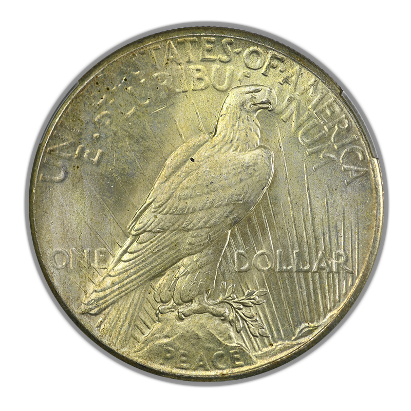 1925 Peace Dollar $1 CAC MS64