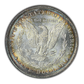 1884-O Morgan Dollar $1 NGC Fatty MS64 CAC - TONED!