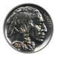 1937 Proof Buffalo Nickel 5C NGC Fatty PF66 CAC