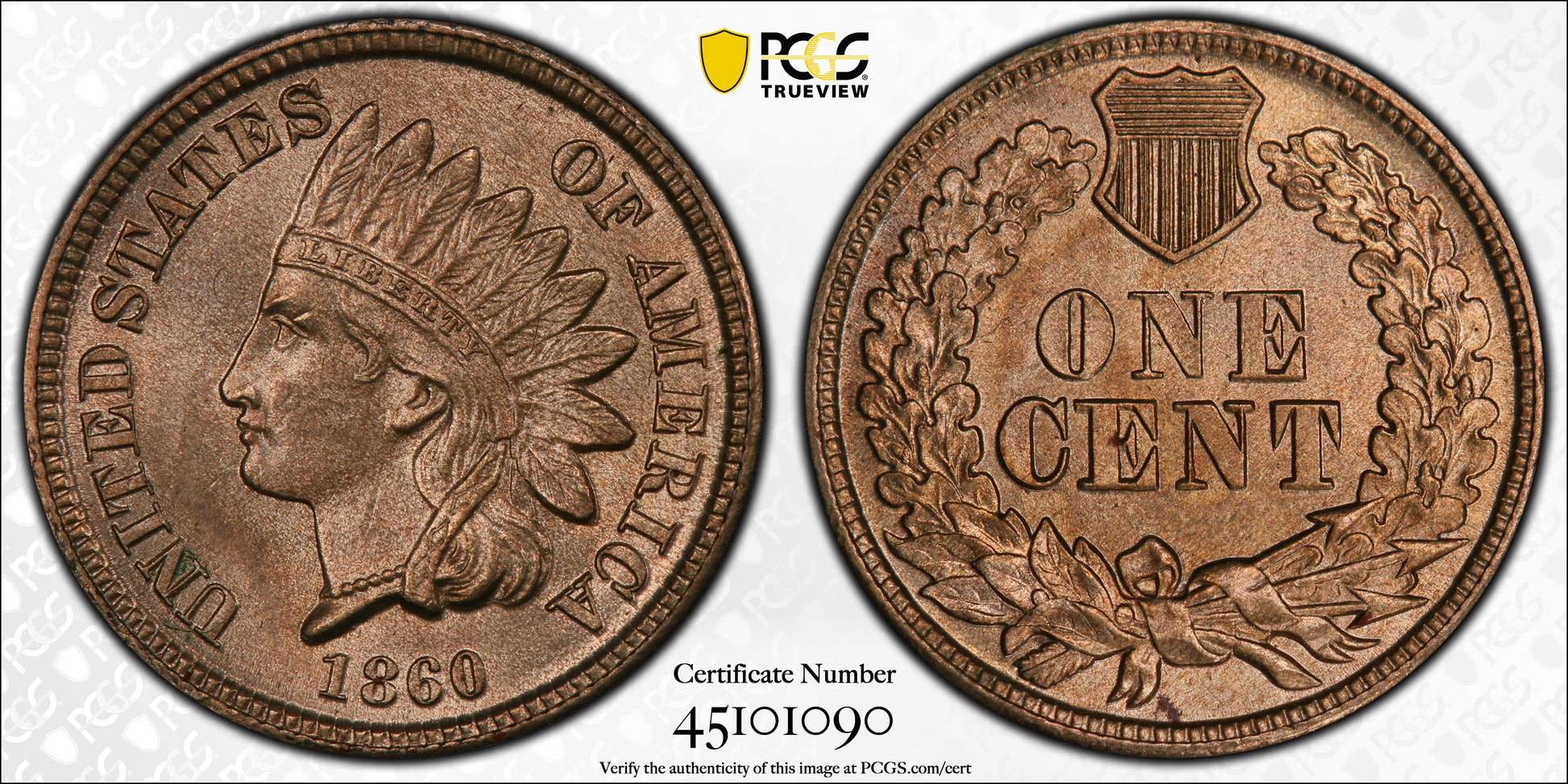 1860 Indian Head Cent 1C PCGS MS65 Trueview