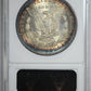 1878 Reverse of 1879 Morgan Dollar $1 ANACS Soapbox MS63 - TONED!