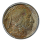 1913 Type 1 Buffalo Nickel 5C PCGS MS64 - TONED!