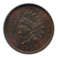 1905 Indian Head Cent 1C ANACS Soapbox MS63RB Obverse