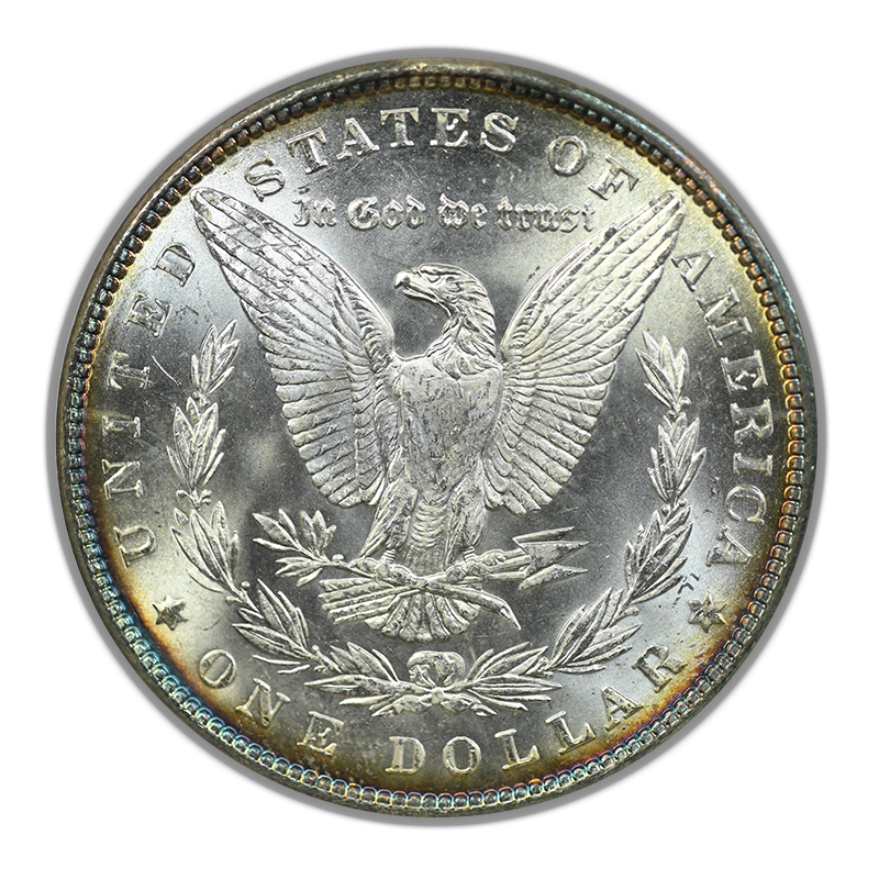 1882 Morgan Dollar $1 NGC Fatty MS64 - TONED!